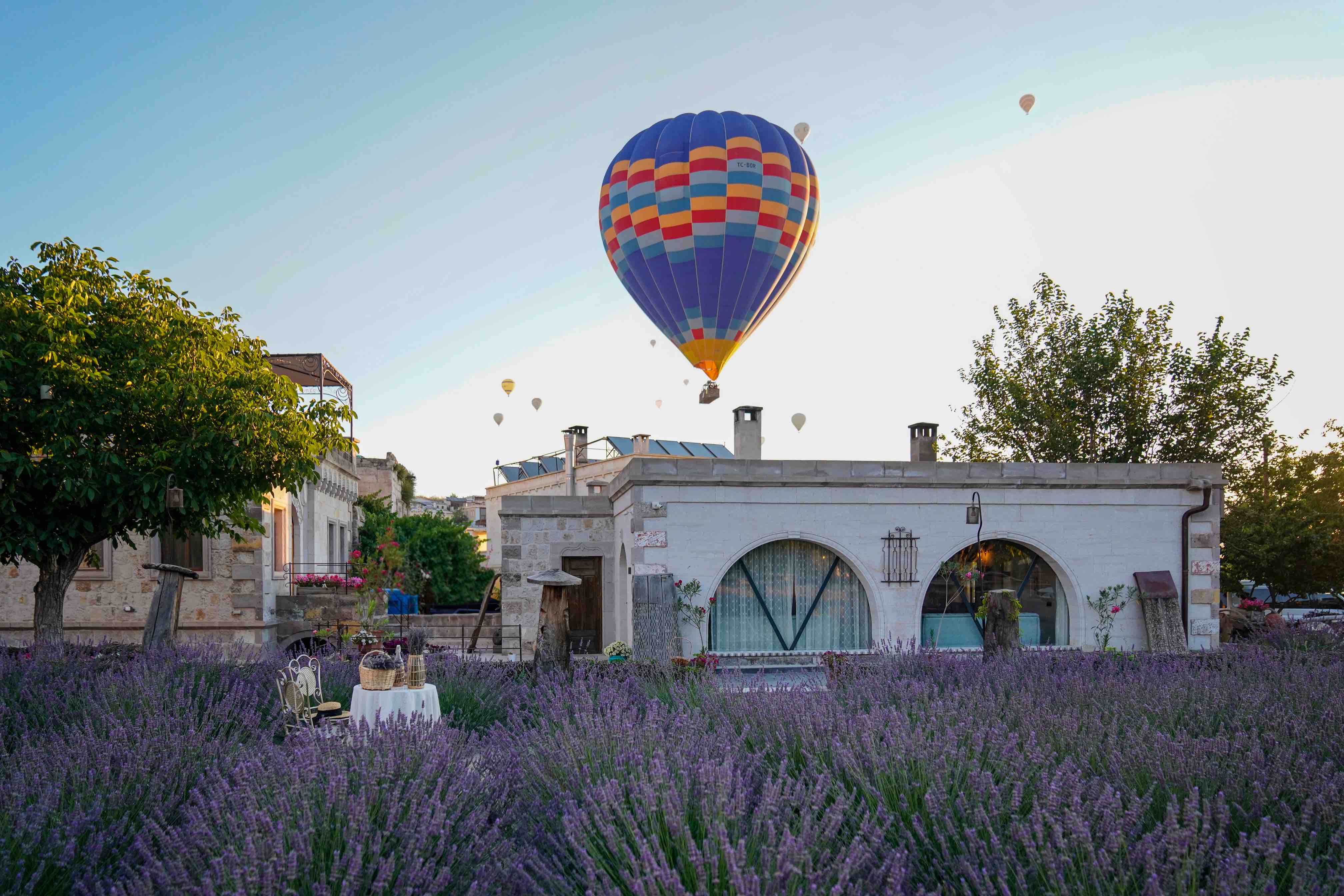 lavender garden of the Cave Design Hotel in Cappadocia